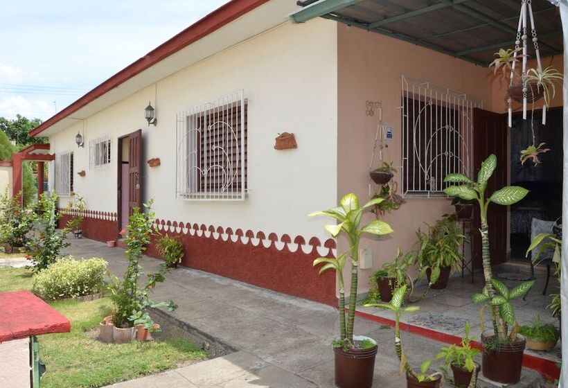 تختخواب و صبحانه Hostal Mary & Rafe