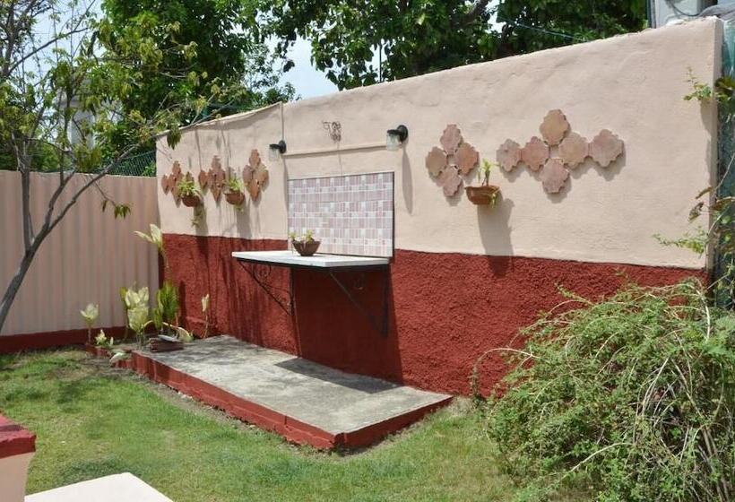 تختخواب و صبحانه Hostal Mary & Rafe