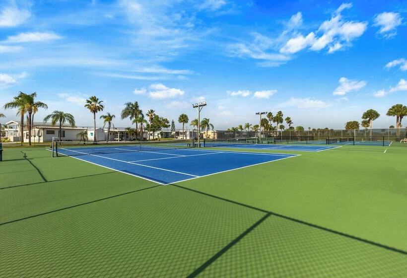 Szálloda Okeechobee Koa Resort