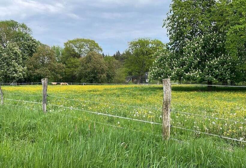 Landhaus Gutmussen 2 A