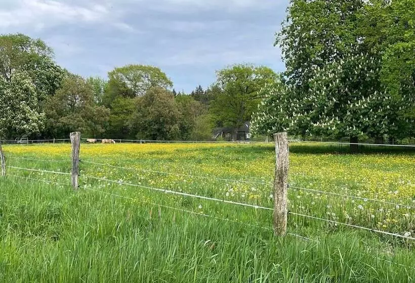 Landhaus Gutmussen 2 A