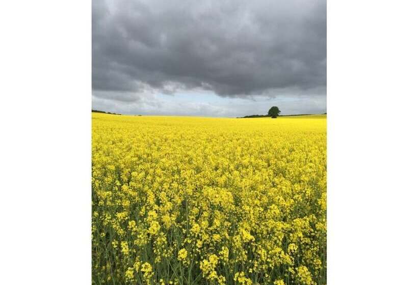 Landhaus Gutmussen 2 A