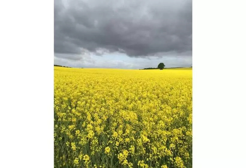 Landhaus Gutmussen 2 A