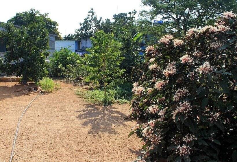 پانسیون Mama Carmen Hostal Playa La Boca