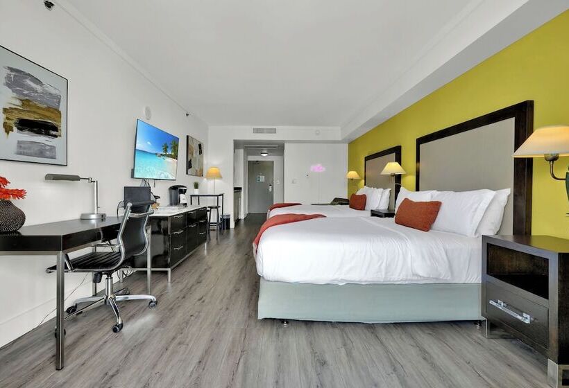 Stunning 12th Floor Studio In The Grove