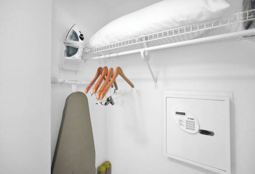 Stunning 12th Floor Studio In The Grove