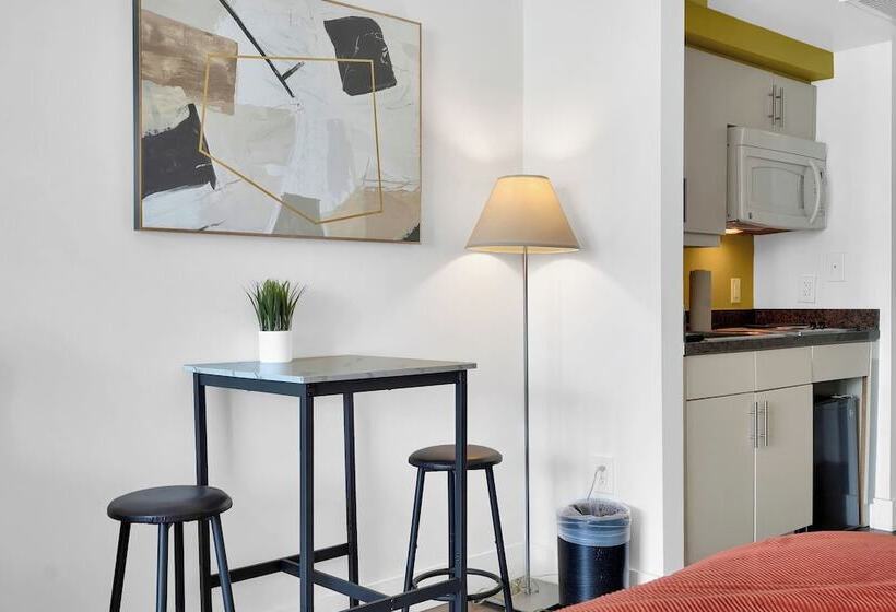 Stunning 12th Floor Studio In The Grove