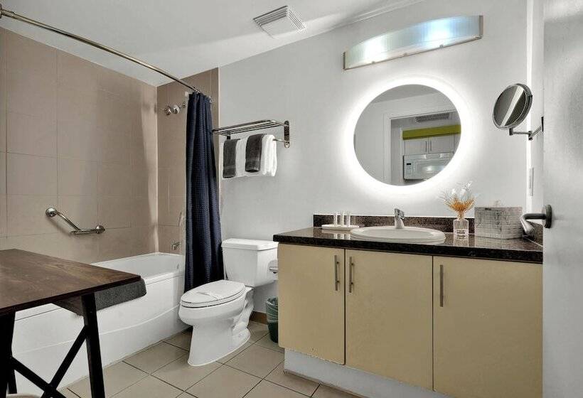 Stunning 12th Floor Studio In The Grove