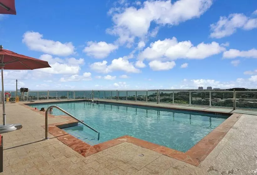 Stunning 12th Floor Studio In The Grove