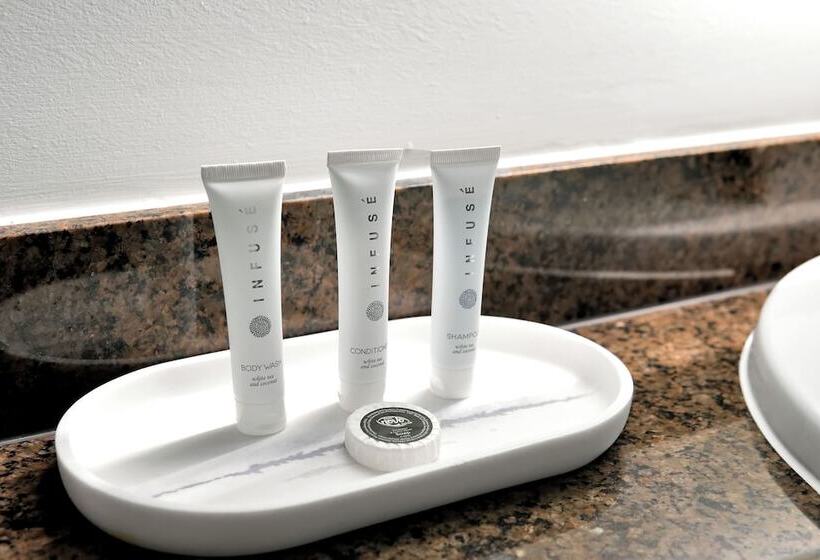 Stunning 12th Floor Studio In The Grove