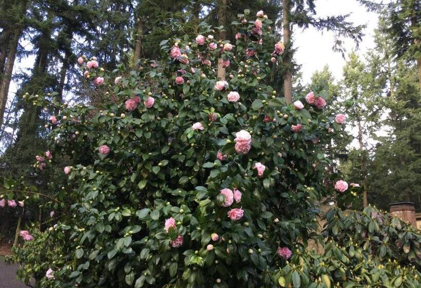 A Cascade View Bed And Breakfast