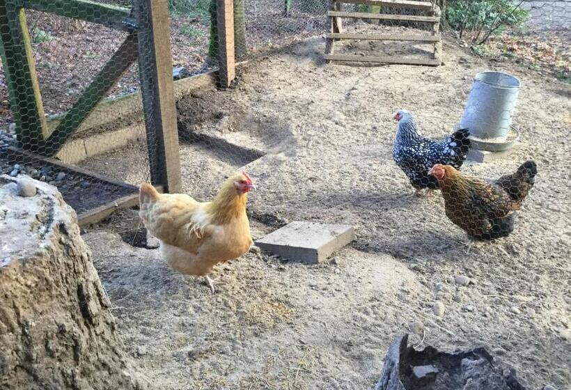 A Cascade View Bed And Breakfast