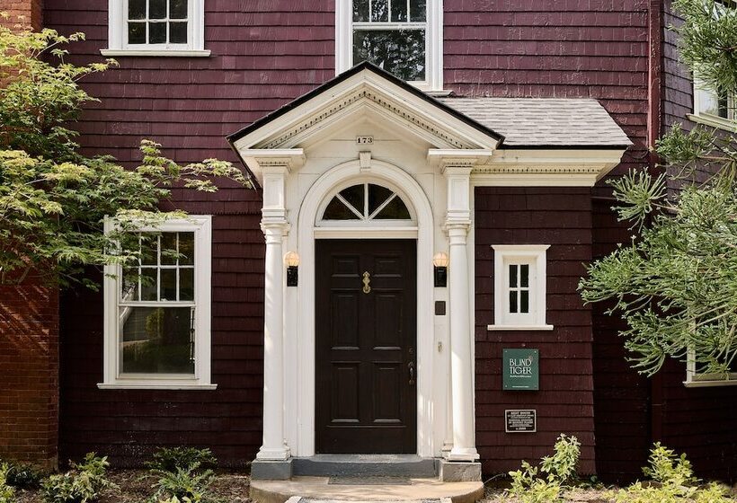 住宿加早餐  Blind Tiger Asheville