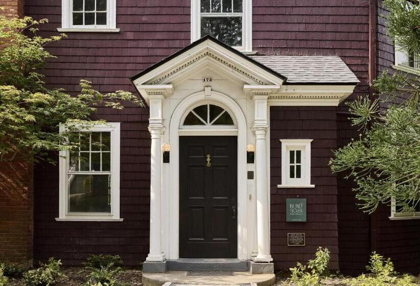 住宿加早餐  Blind Tiger Asheville