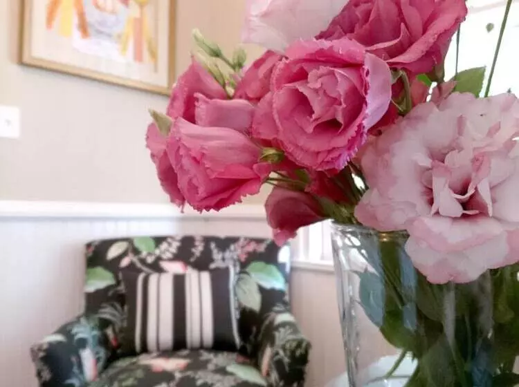 ベッドアンドブレックファースト Fig Street Inn