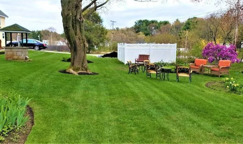 Elmere House Bed & Breakfast