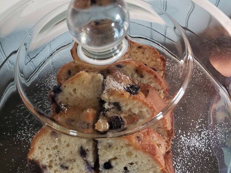 Elmere House Bed & Breakfast