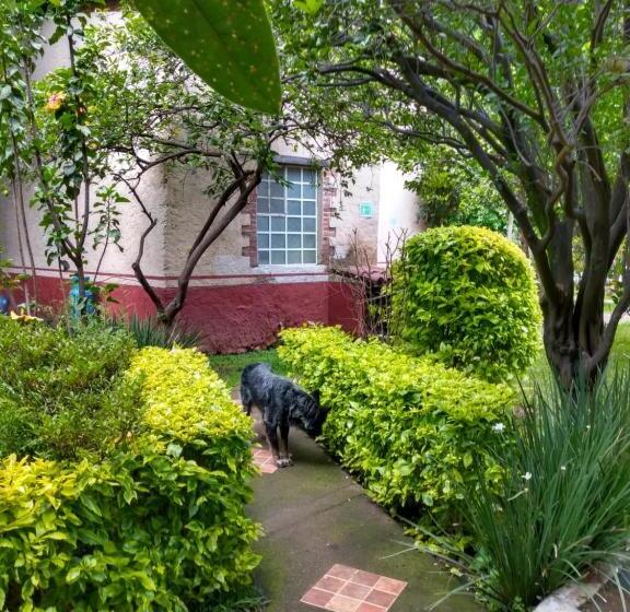 فندق Casa Pomarrosa