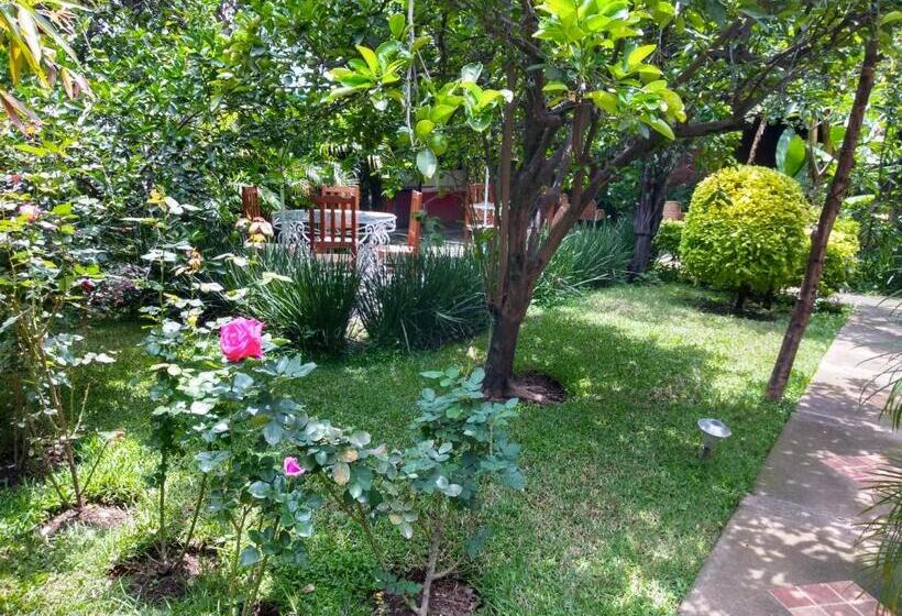 فندق Casa Pomarrosa