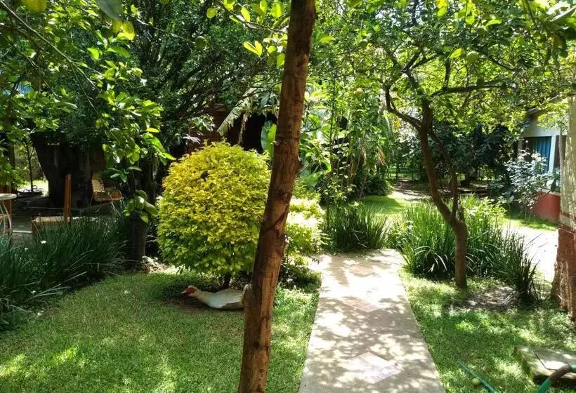 ホテル Casa Pomarrosa