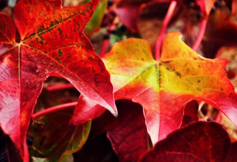 교외 호텔 El Bosque De La Anjana