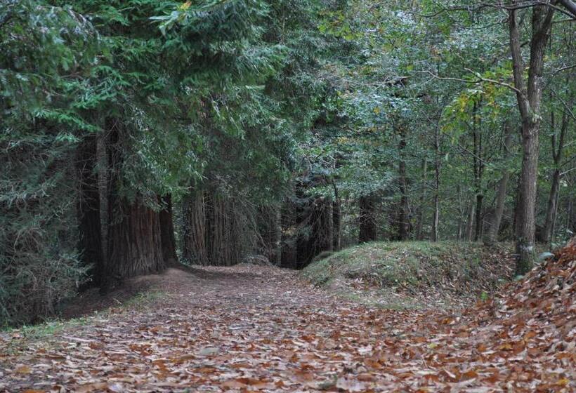 교외 호텔 El Bosque De La Anjana