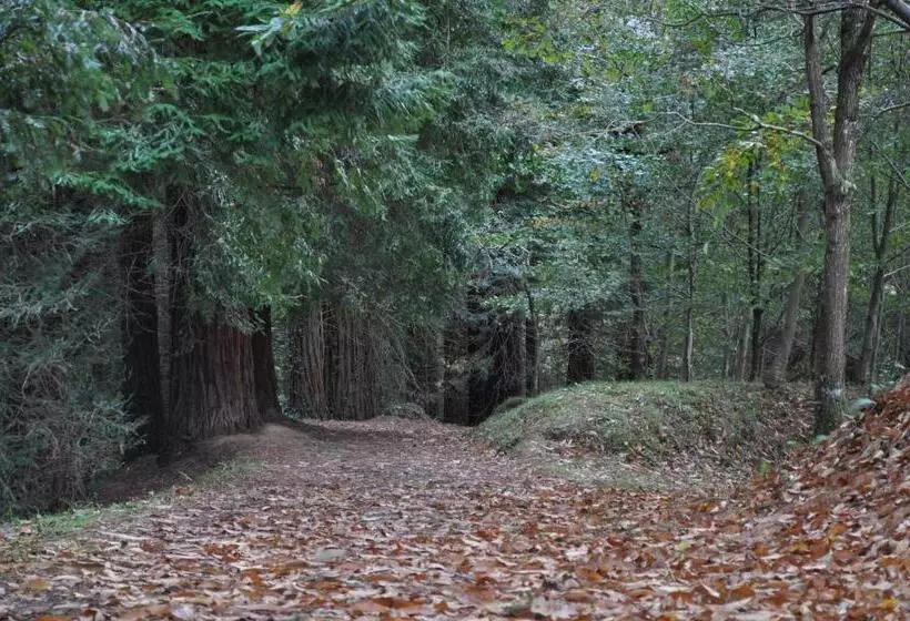田舎風ホテル El Bosque De La Anjana