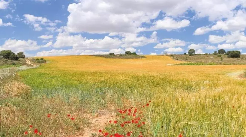 هتل روستایی Rural Plaza Mayor Chinchon
