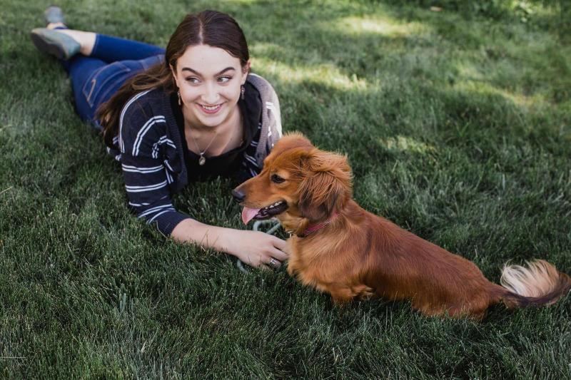 汽车旅馆 Inn At Mount Shasta
