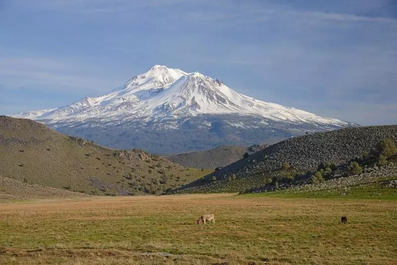 モーテル Inn At Mount Shasta