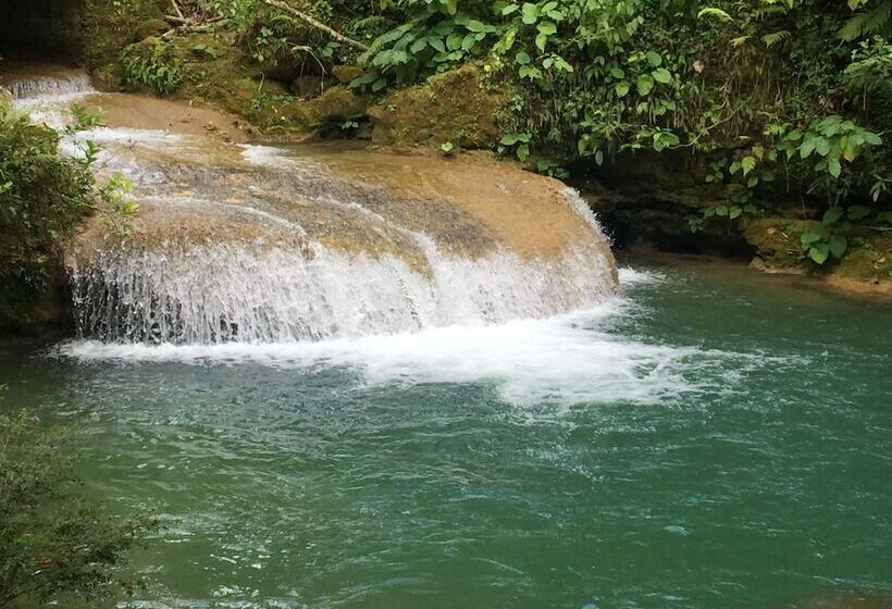 پانسیون Suite Florencia