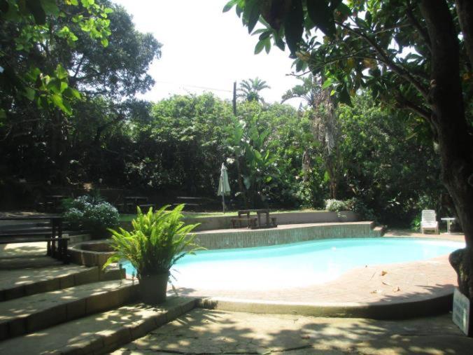 فندق صغير 71 Umvoti Backpackers