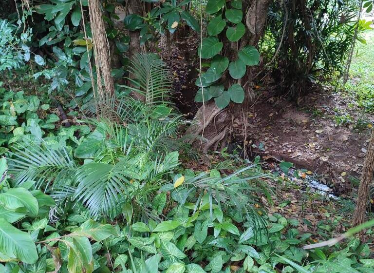 فندق صغير 71 Umvoti Backpackers