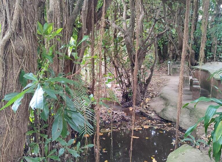 فندق صغير 71 Umvoti Backpackers