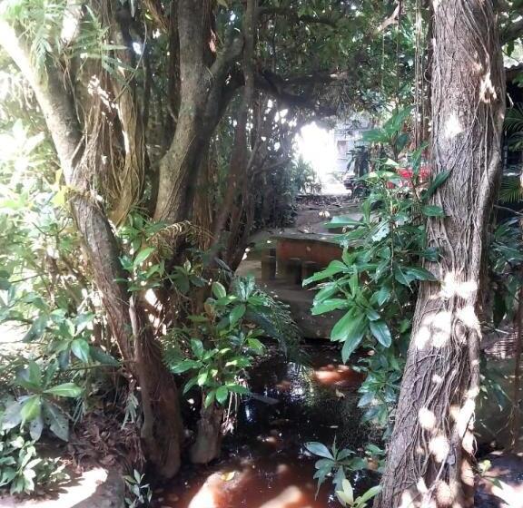 فندق صغير 71 Umvoti Backpackers