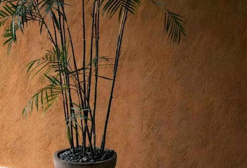 Armadillo Living Villas