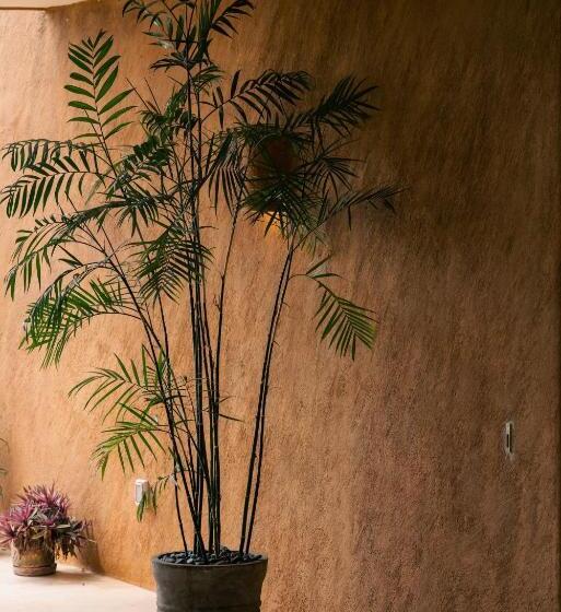 Armadillo Living Villas