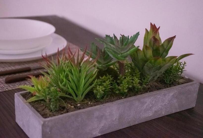 تختخواب و صبحانه Modern House Le Castella