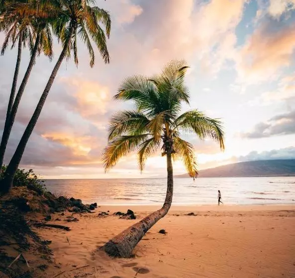 Campcar Maui Jeeps Suvs Hybrid Camper Van Rentals With Equipment And Travel Advice