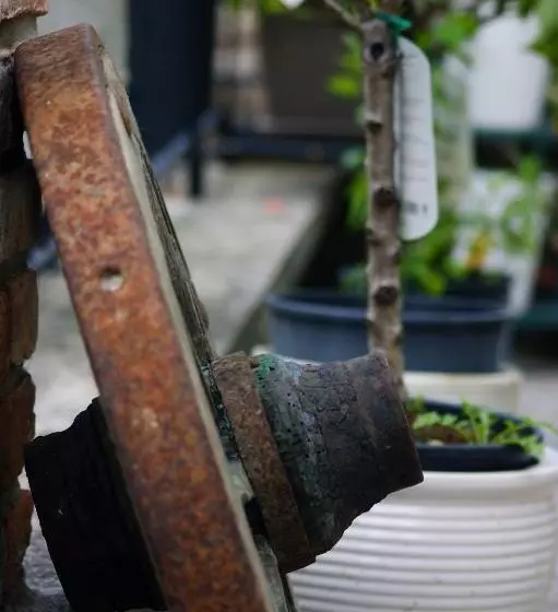 Dulcius Ex Asperis Bed & Breakfast