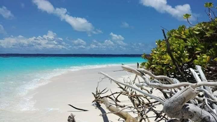 هتل Avanti Surf & Stay