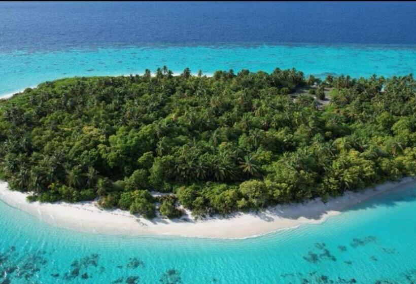 هتل Avanti Surf & Stay