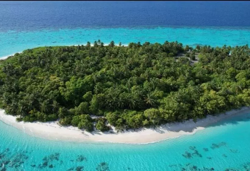 هتل Avanti Surf & Stay