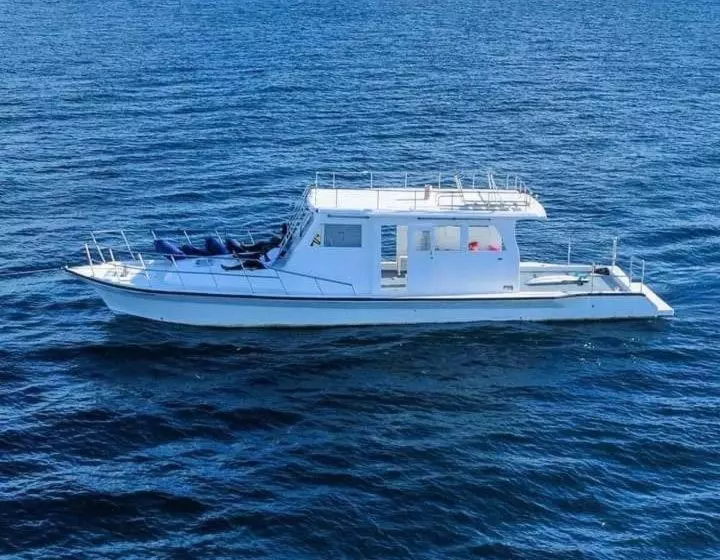 هتل Avanti Surf & Stay