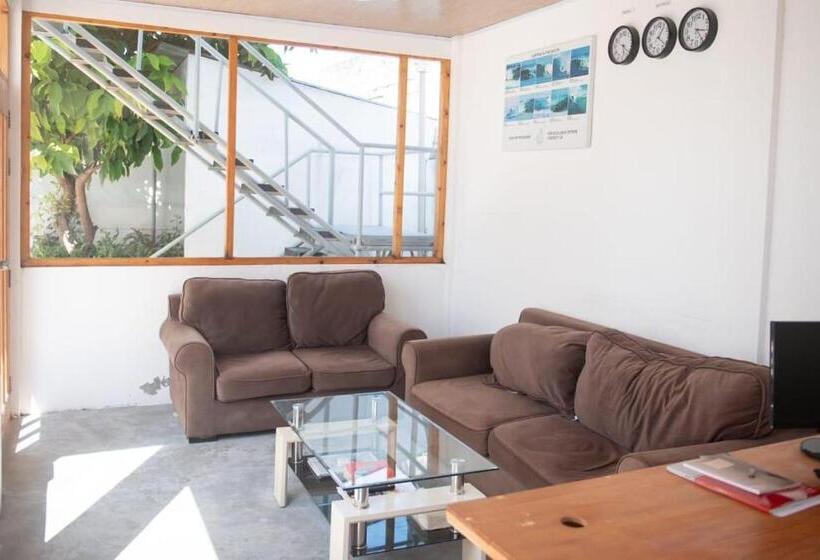 هتل Avanti Surf & Stay