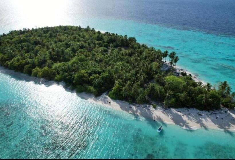 هتل Avanti Surf & Stay