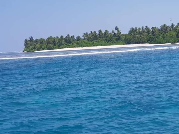 هتل Avanti Surf & Stay