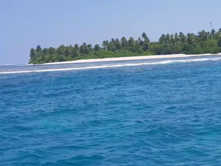 هتل Avanti Surf & Stay