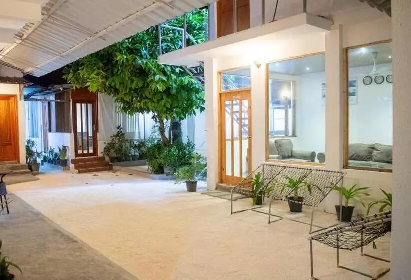 هتل Avanti Surf & Stay