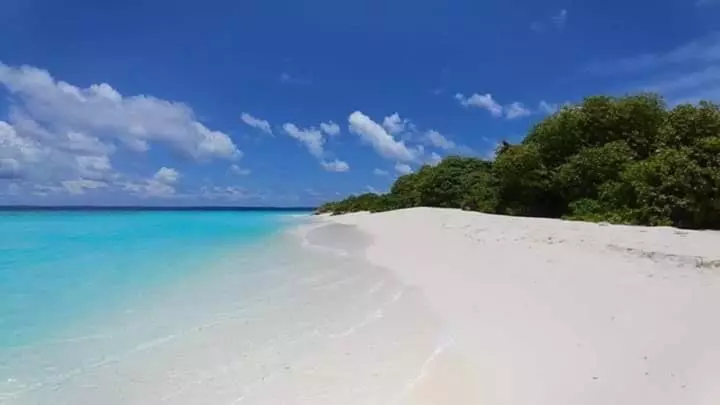 هتل Avanti Surf & Stay